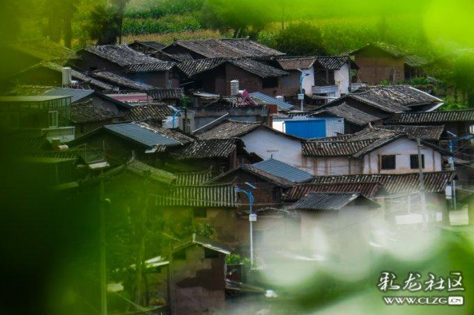 原生家庭对一个人的影响有多大？游戏画面